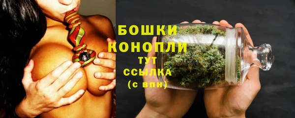 трава Коряжма