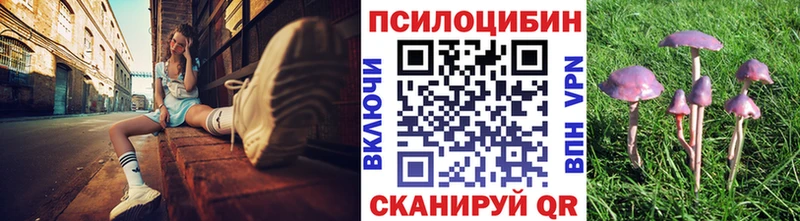 Псилоцибиновые грибы GOLDEN TEACHER  купить наркотик  Емва 